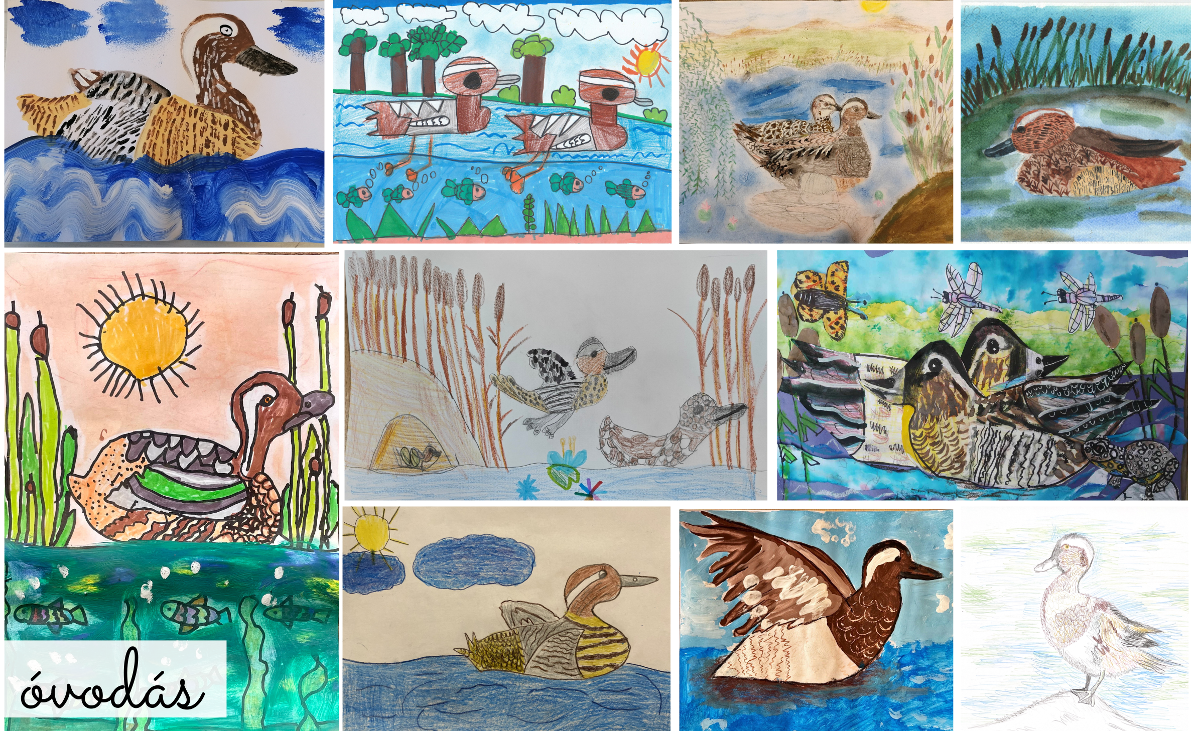 rajzpályázat2025_bojti_rece_ovi