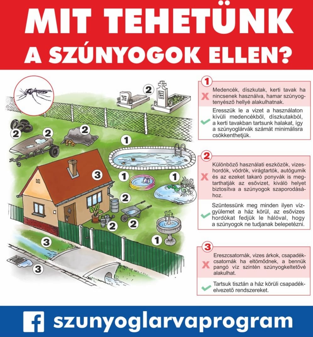 Mit tehetünk a szúnyogok ellen?
