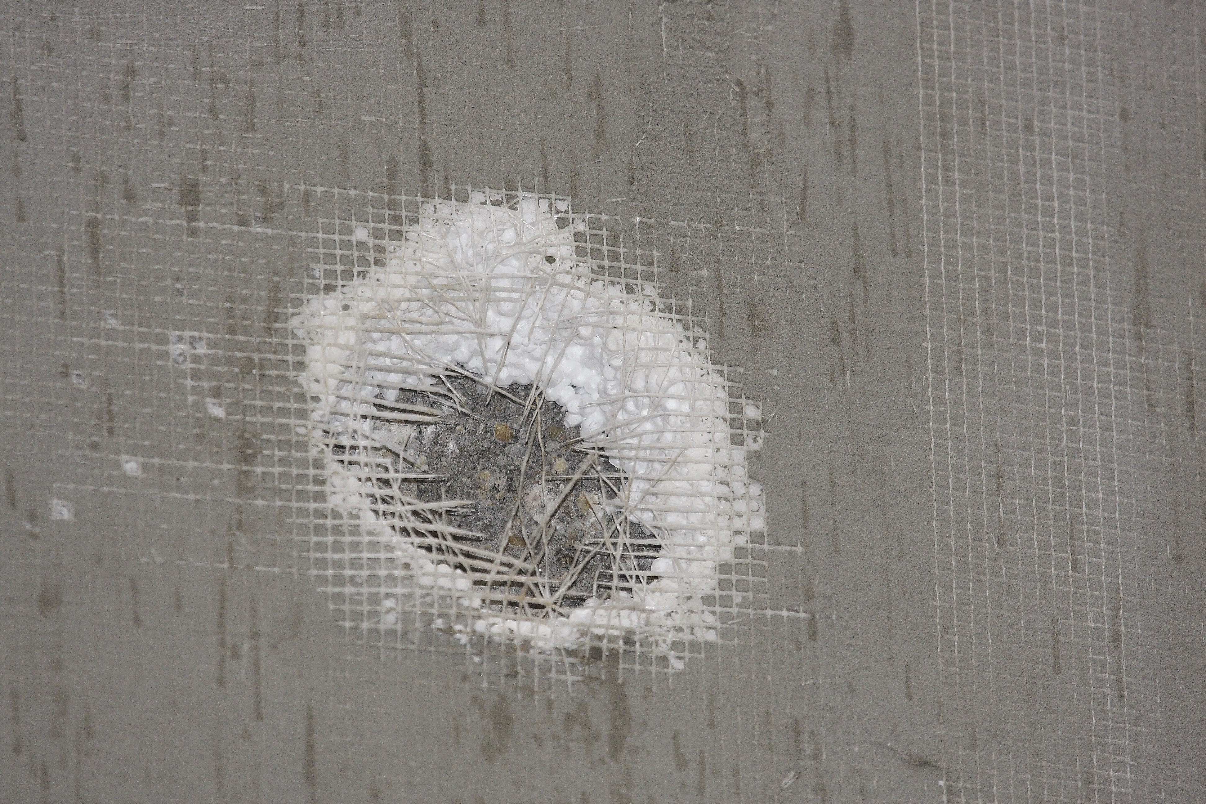 Hiába fedi a szigetelőanyagot apró szemű, puszta kézzel elszakíthatatlanul erős háló és színezett védővakolat, ezeket a harkályok játszi könnyedséggel áttörik (fotó: Orbán Zoltán)