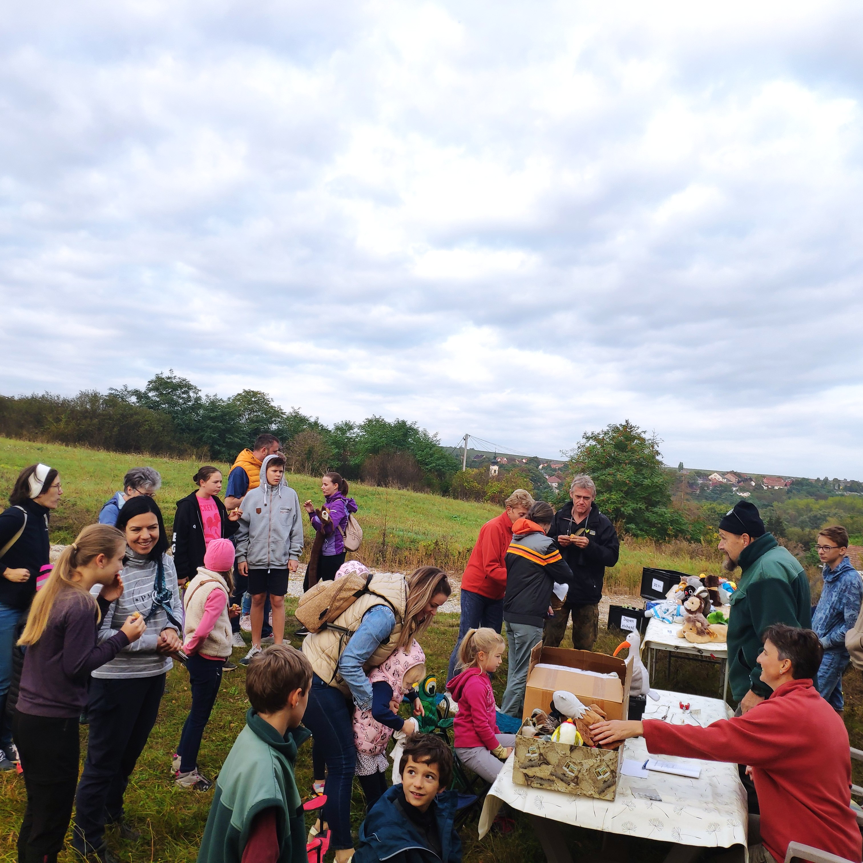 Madárgyűrűzés Ostoroson
