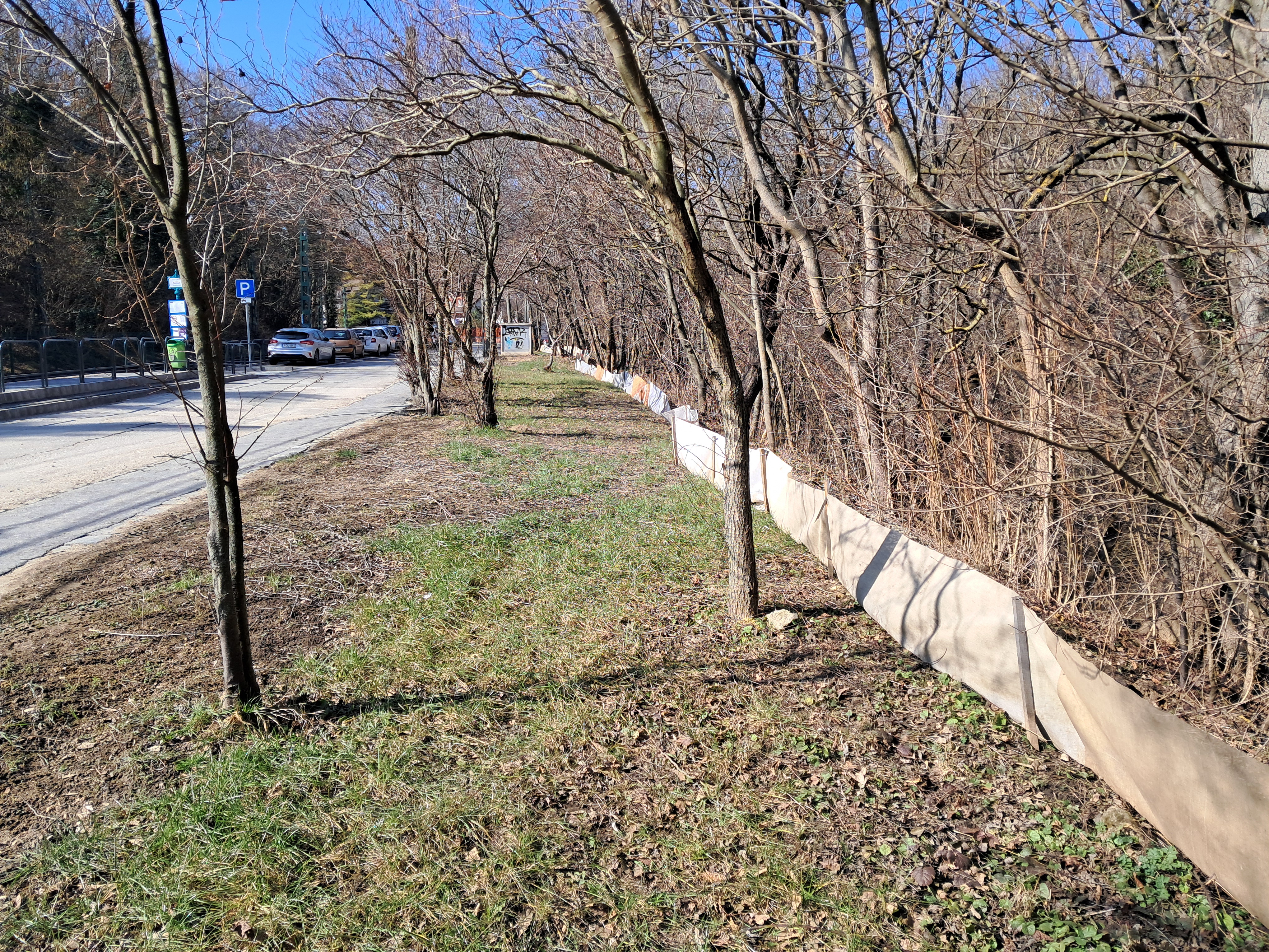 Az elkészült terelőrendszer (Fotó: Egerer Anna)