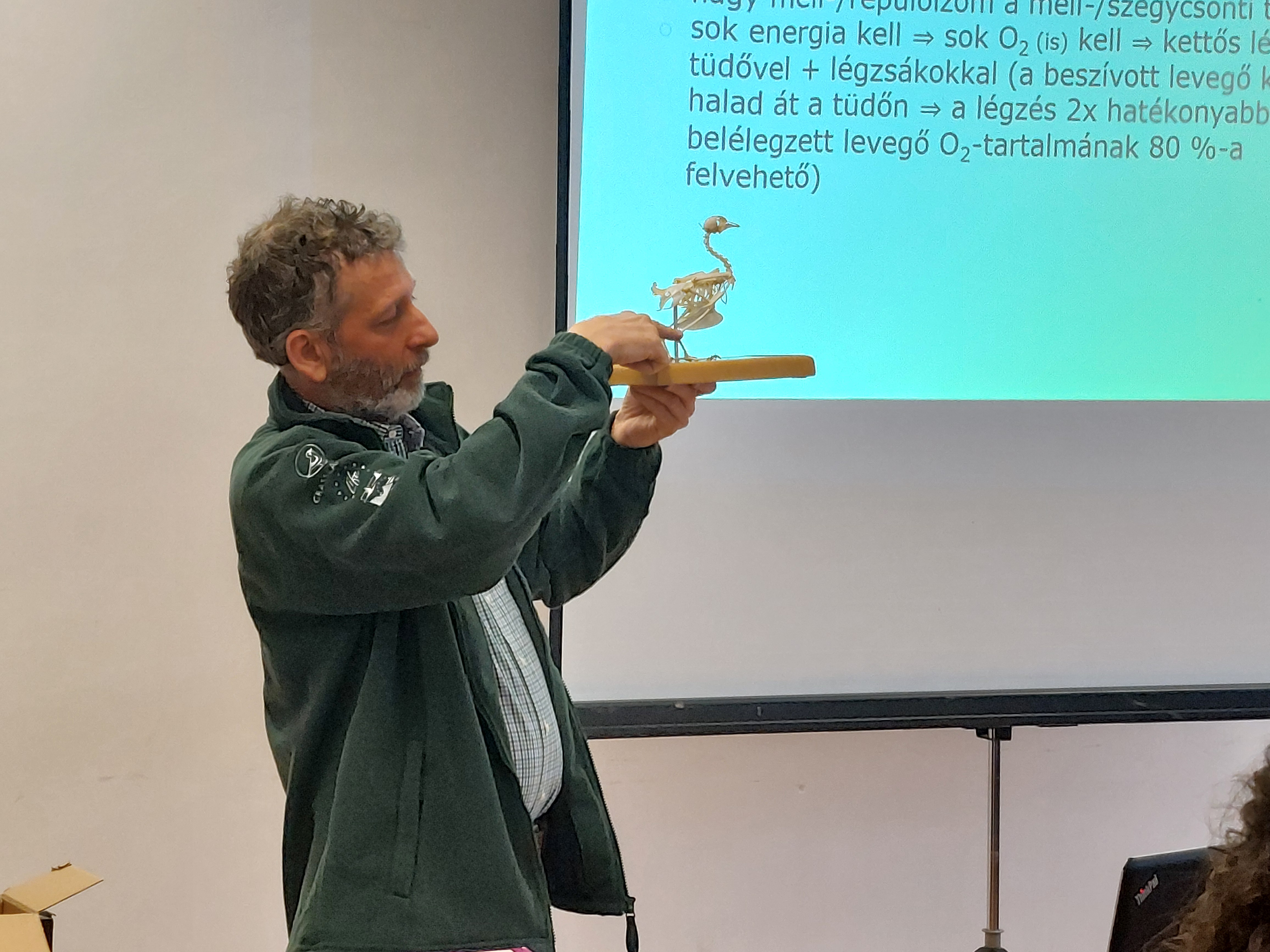 Kezdő madarász képzés dunakeszi