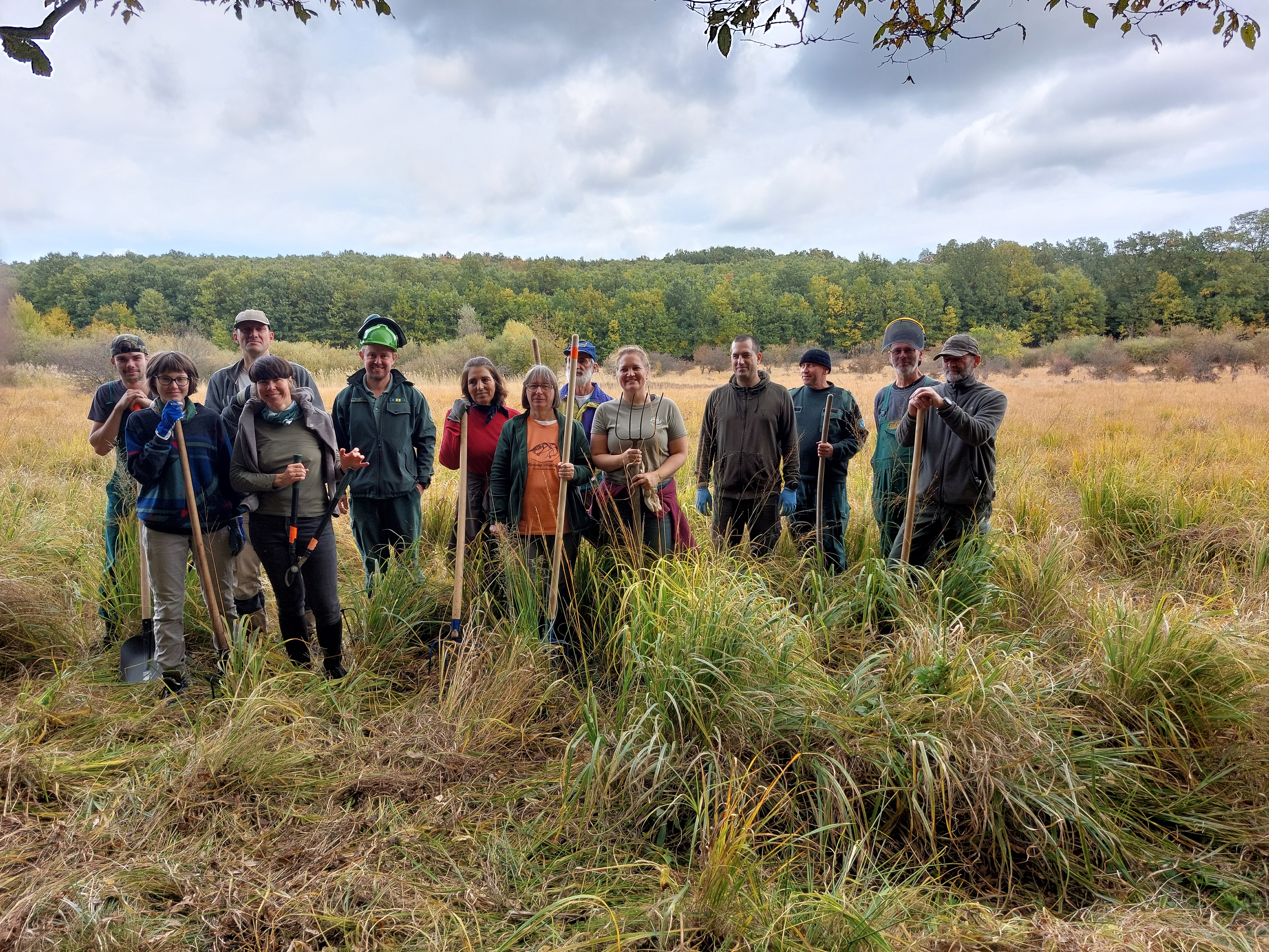 Élőhelykezelés_Király-rét5