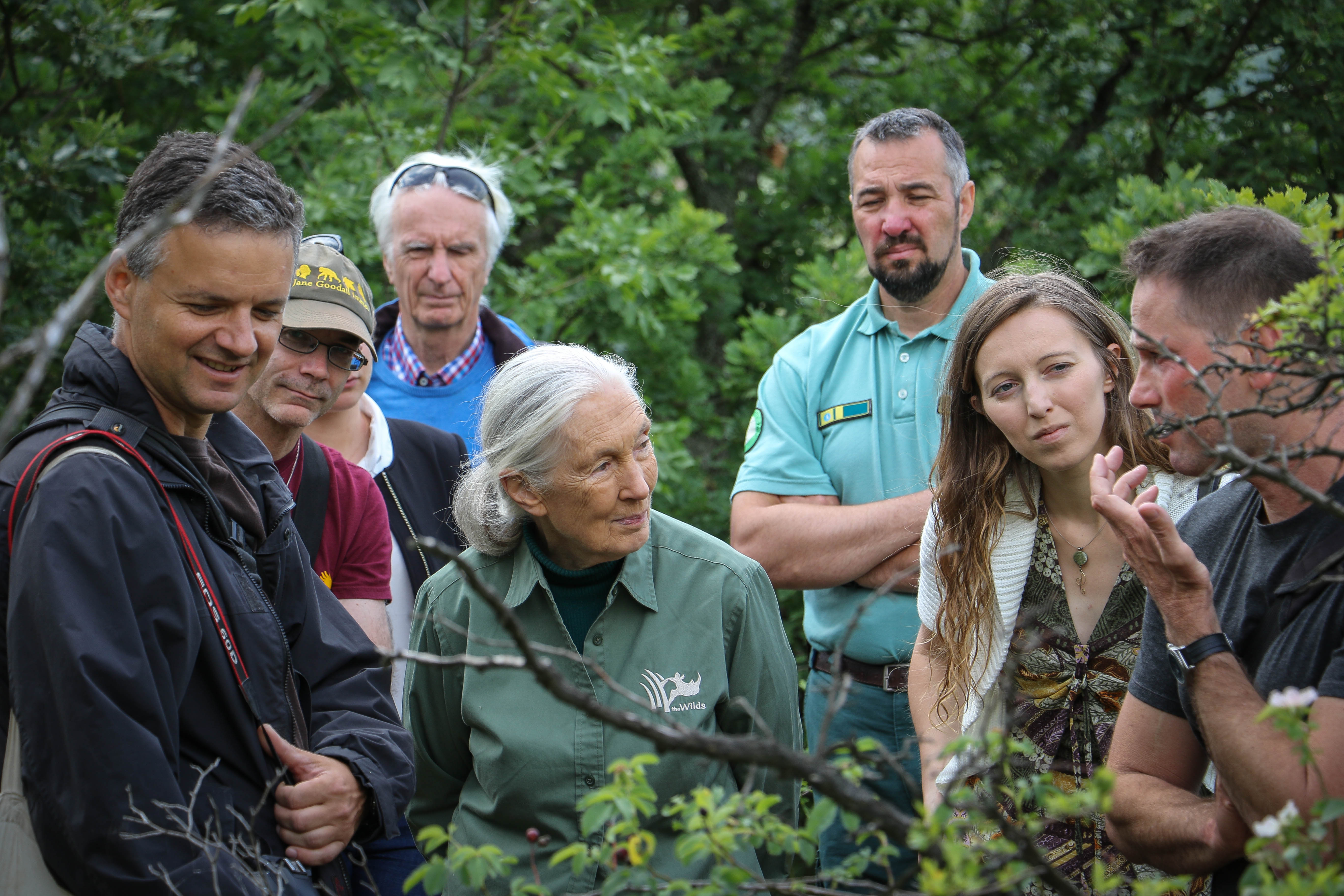 Babocsay Gergely és Halpern Bálint mutatják be Jane Goodall-nak az élőhelyet és az itt élő haragossiklókat (Fotó: Jane Goodall Intézet)