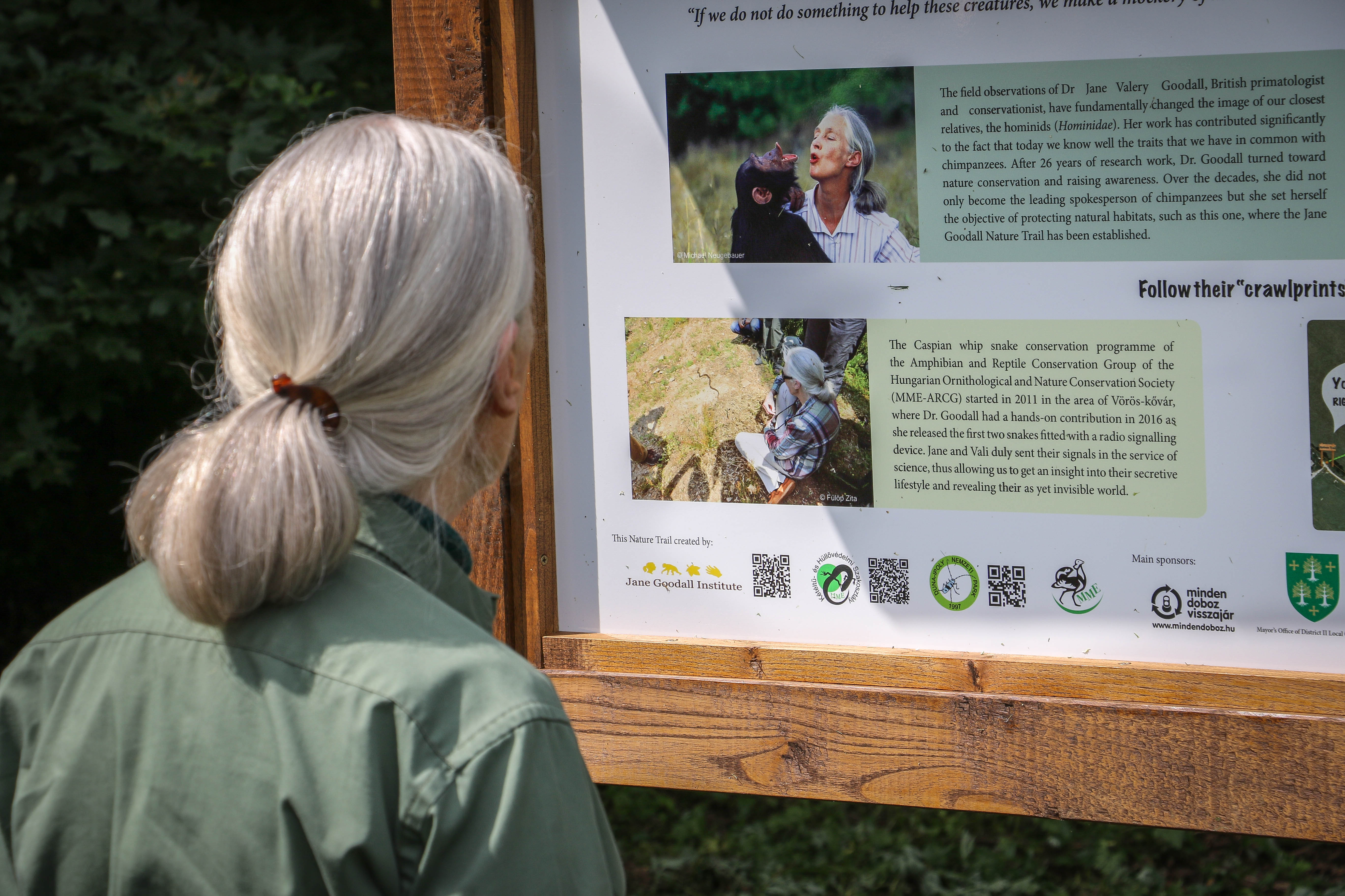 Jane Goodall a tanösvény egyik táblájánál 2023-ban (Fotó: Balogh Boglárka)