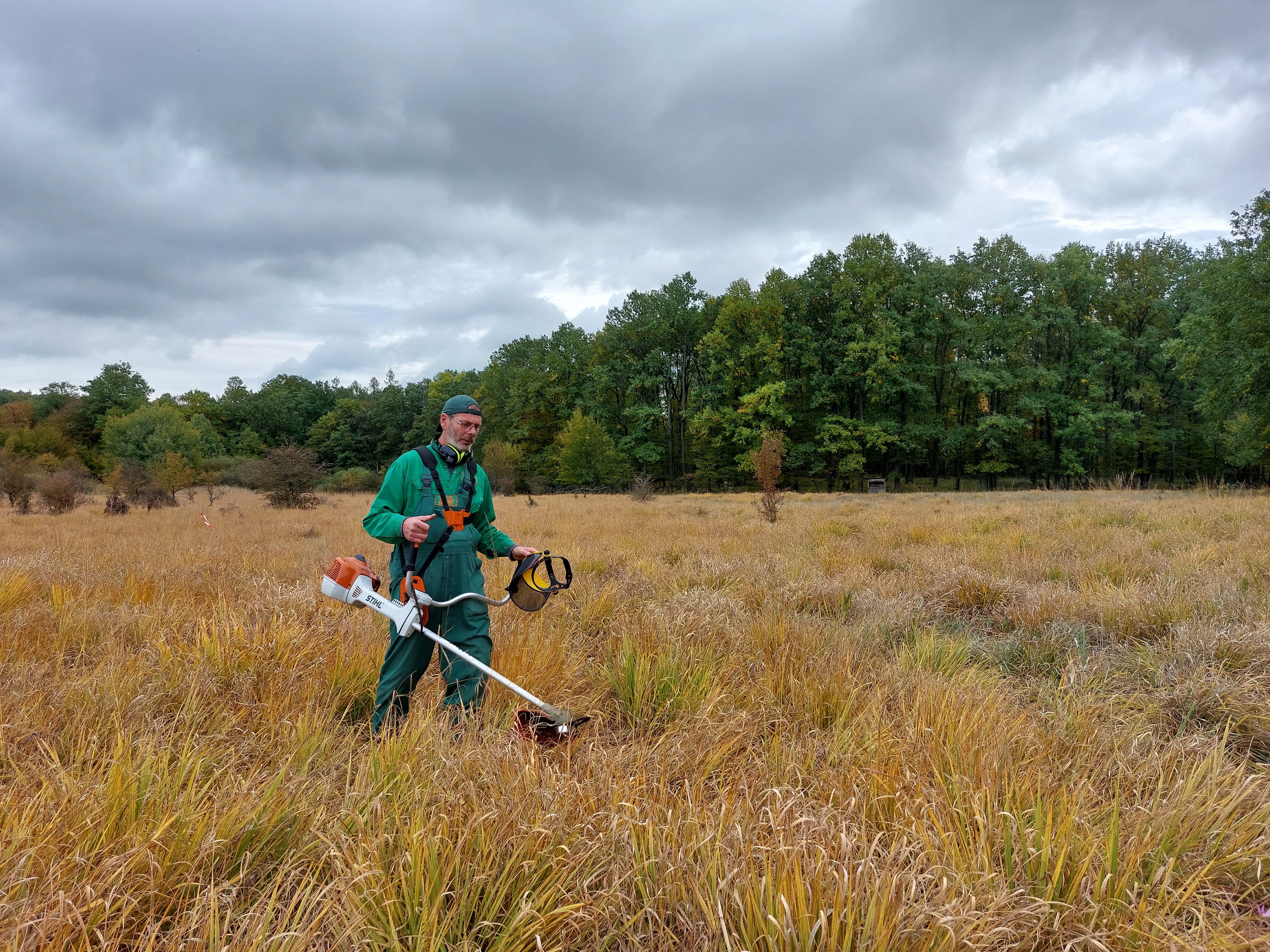 Élőhelykezelés_Király-rét4