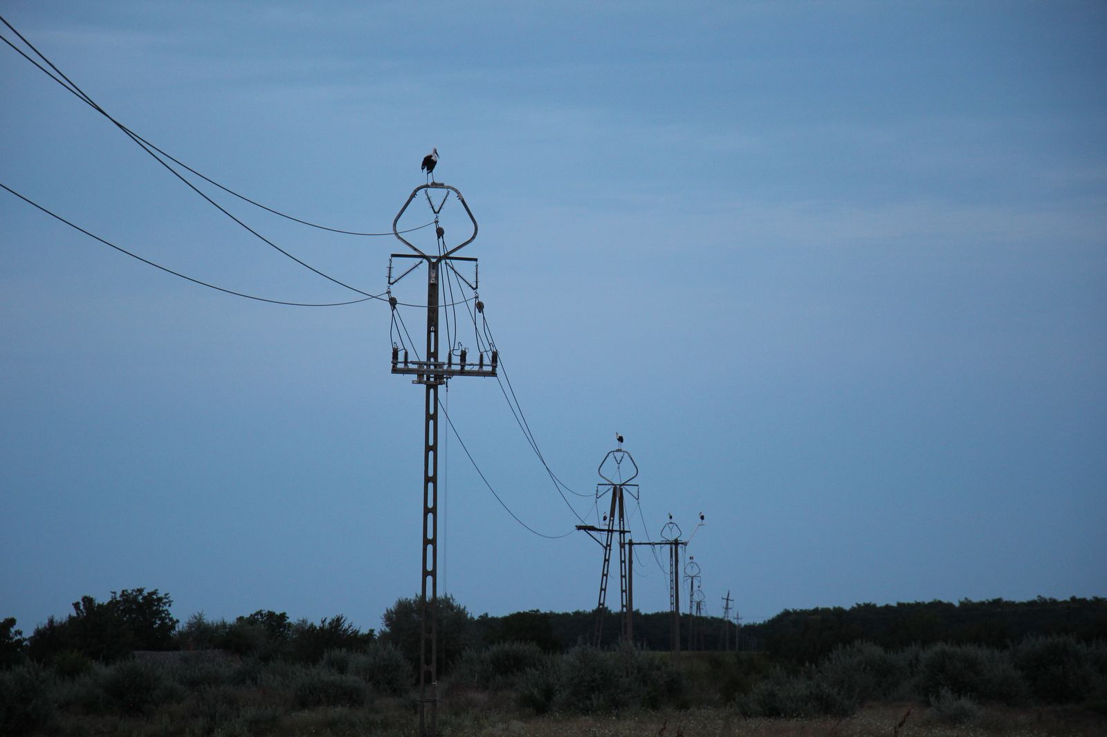 3. sirálytani konferencia