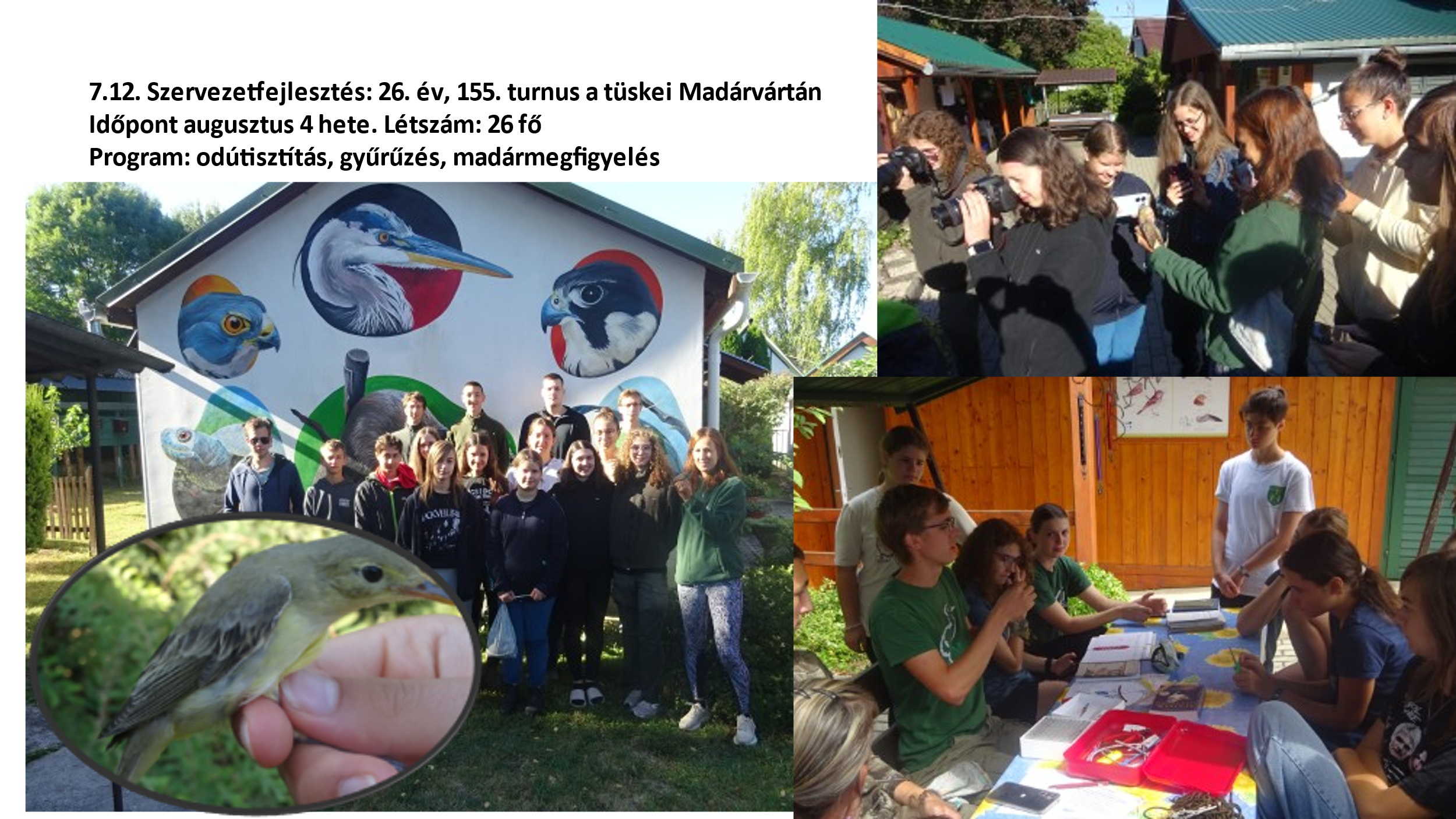 Éves beszámoló Dombóvár 2025