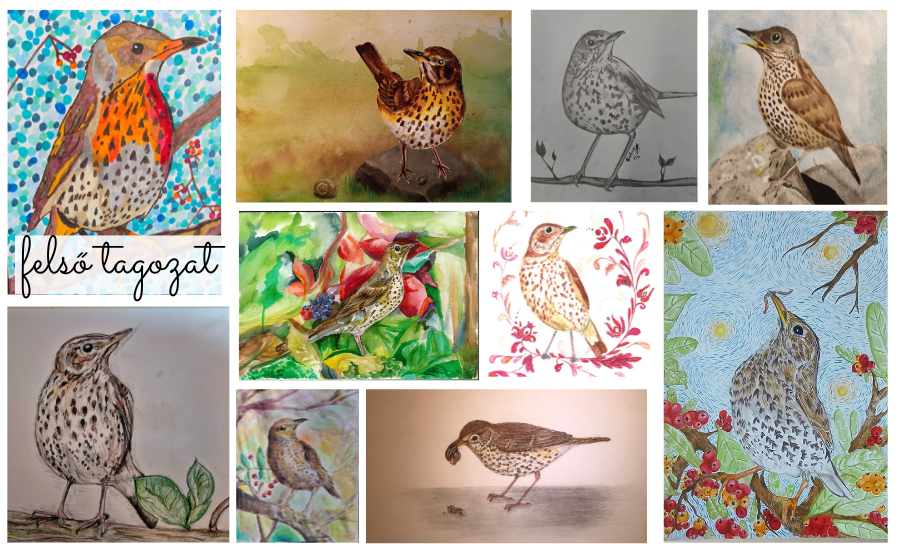 2026 rajzpályázat énekes Rigó