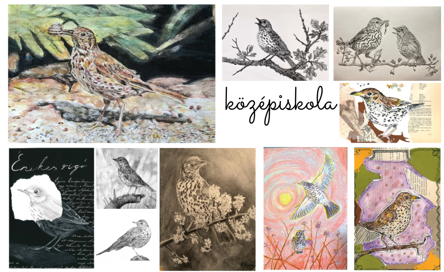 2026 rajzpályázat énekes Rigó