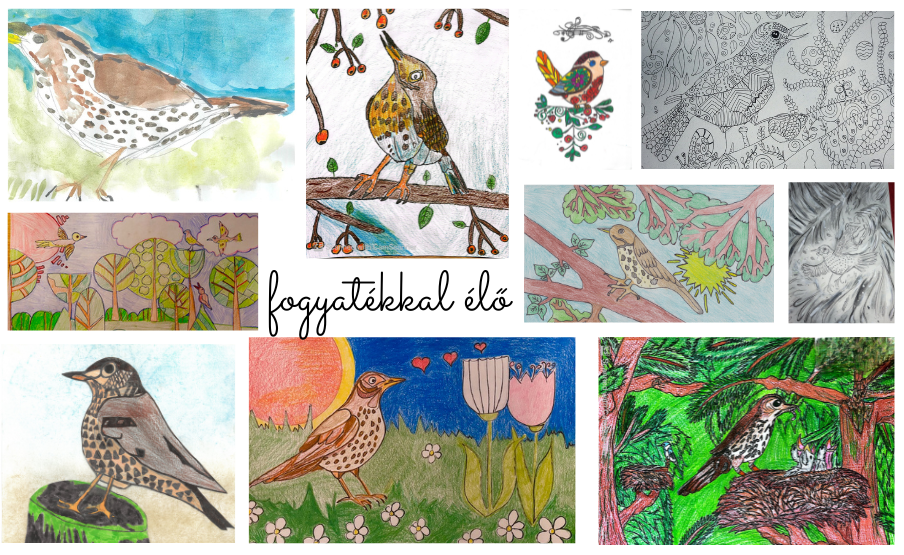 2026 rajzpályázat énekes Rigó