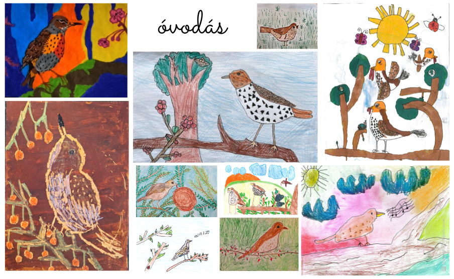 2026 rajzpályázat énekes Rigó