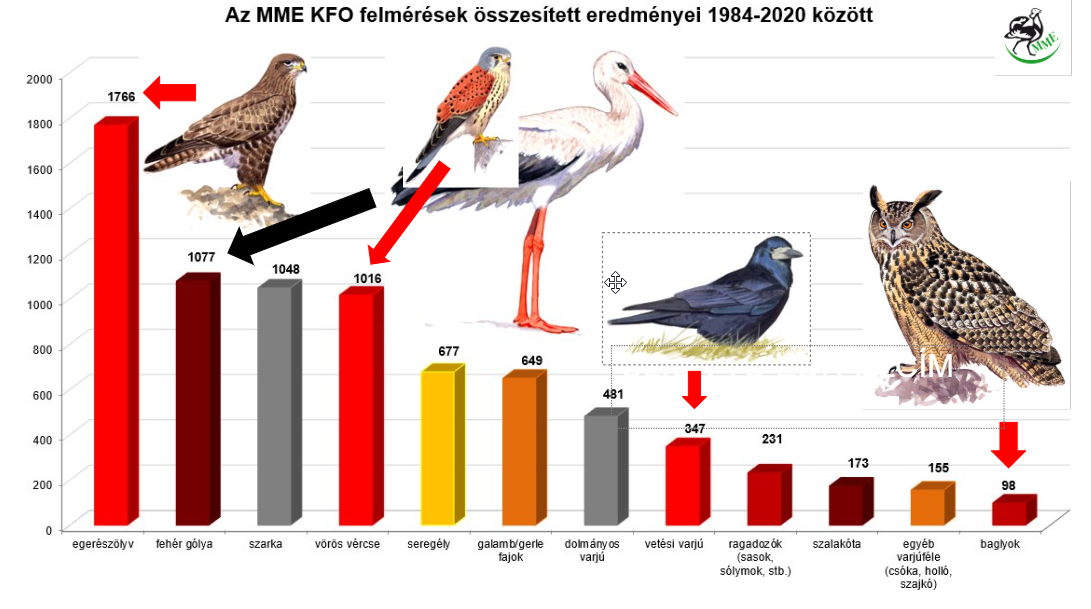 3. sirálytani konferencia