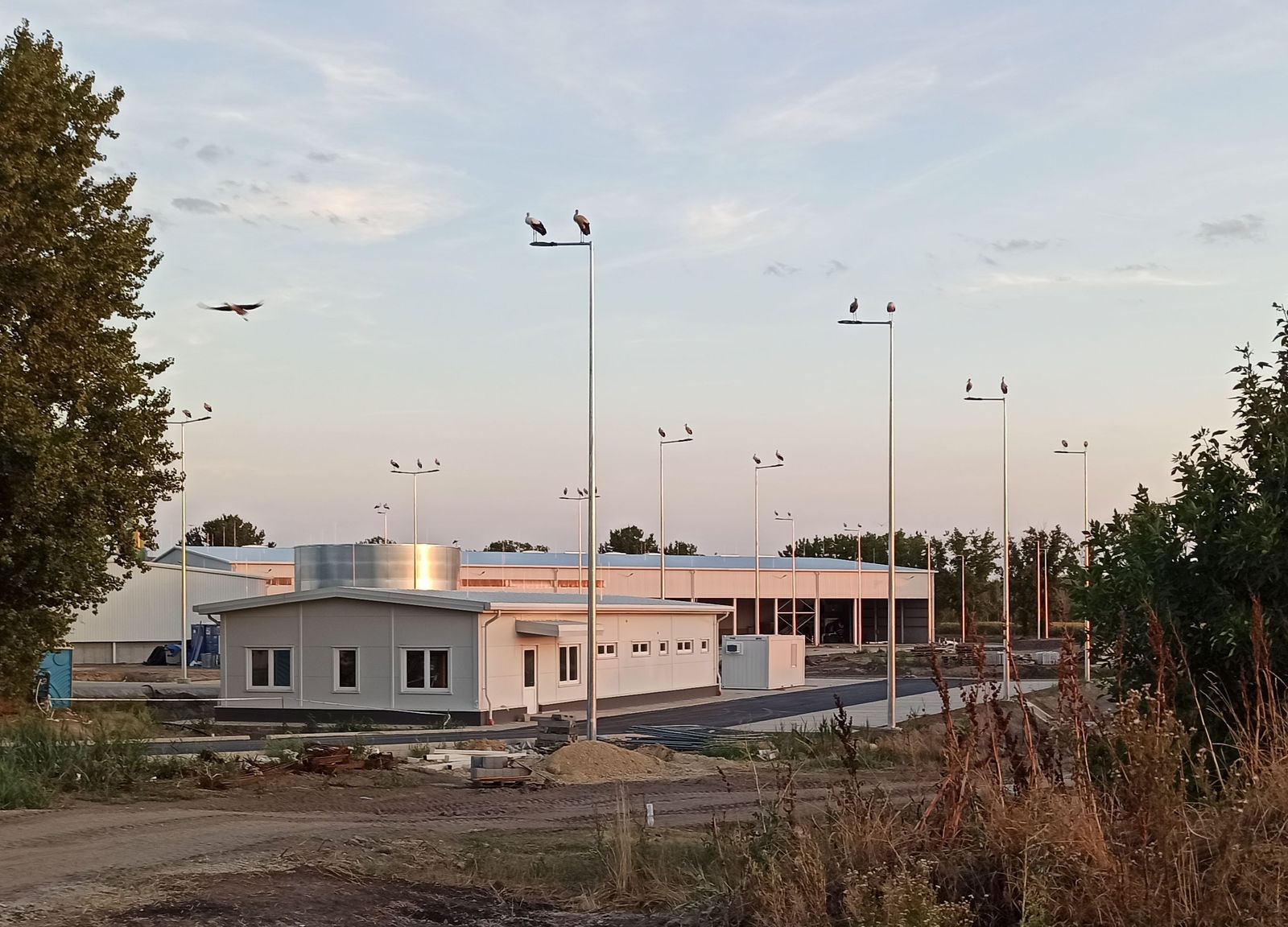 3. sirálytani konferencia