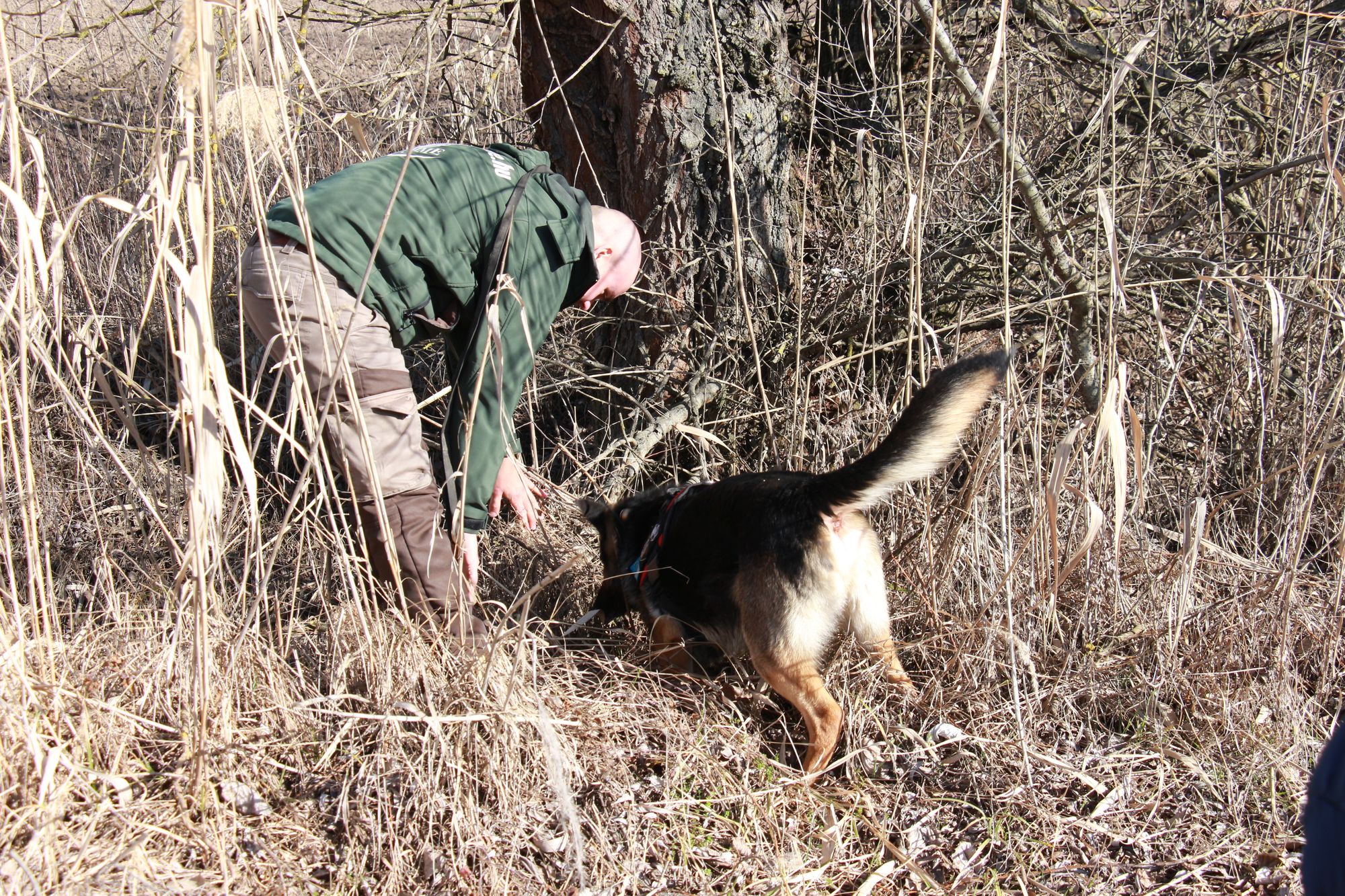 Közös járőrözés (Life SakerRoads)