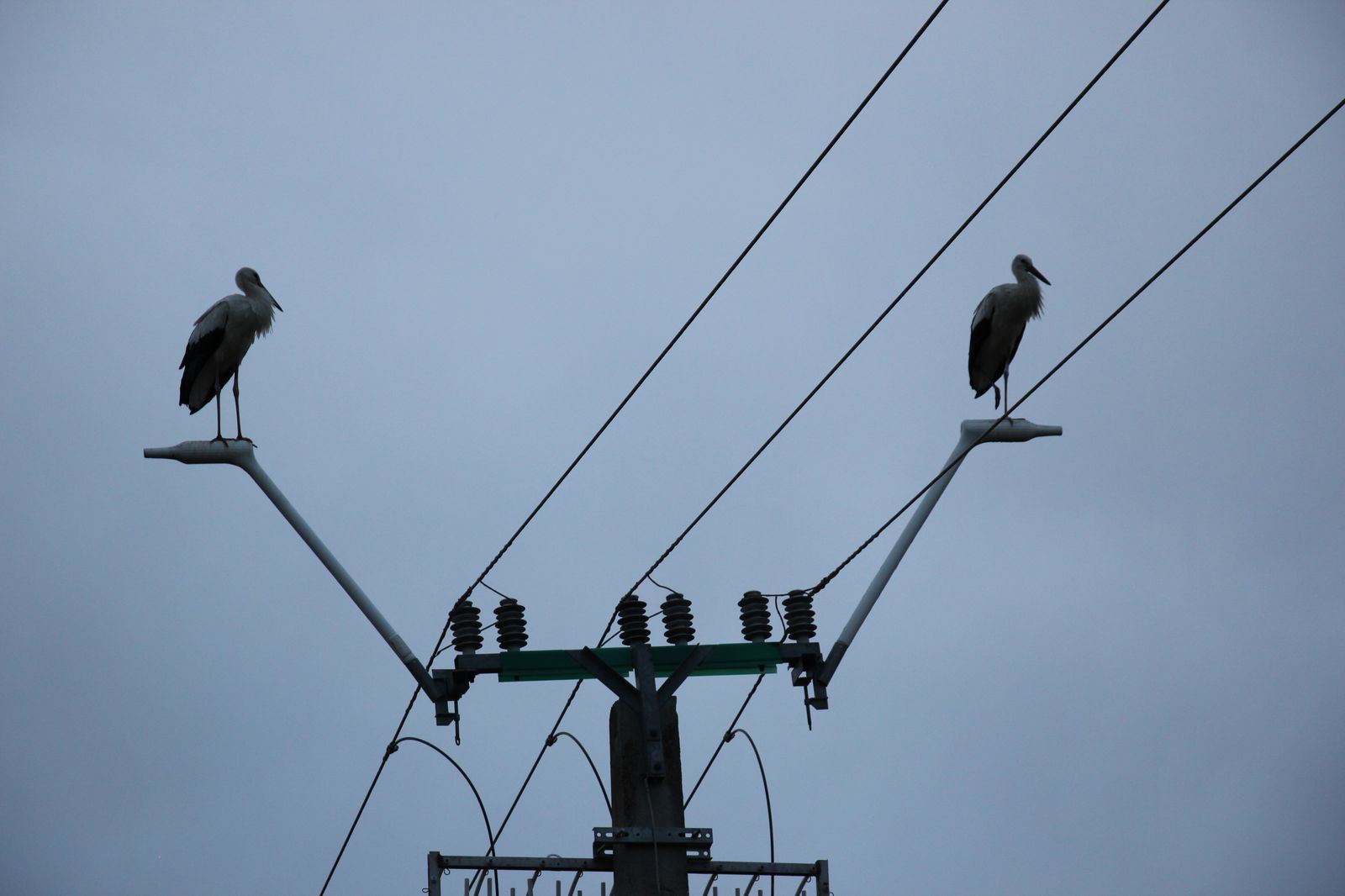 3. sirálytani konferencia