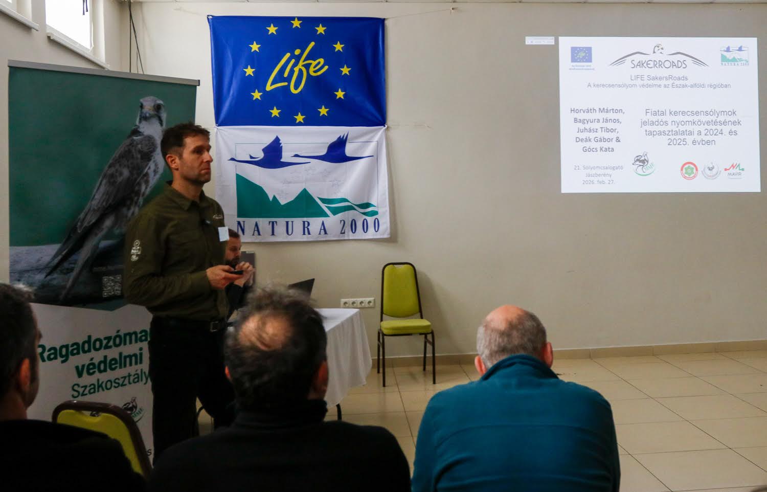 21. sólyomcsalogató