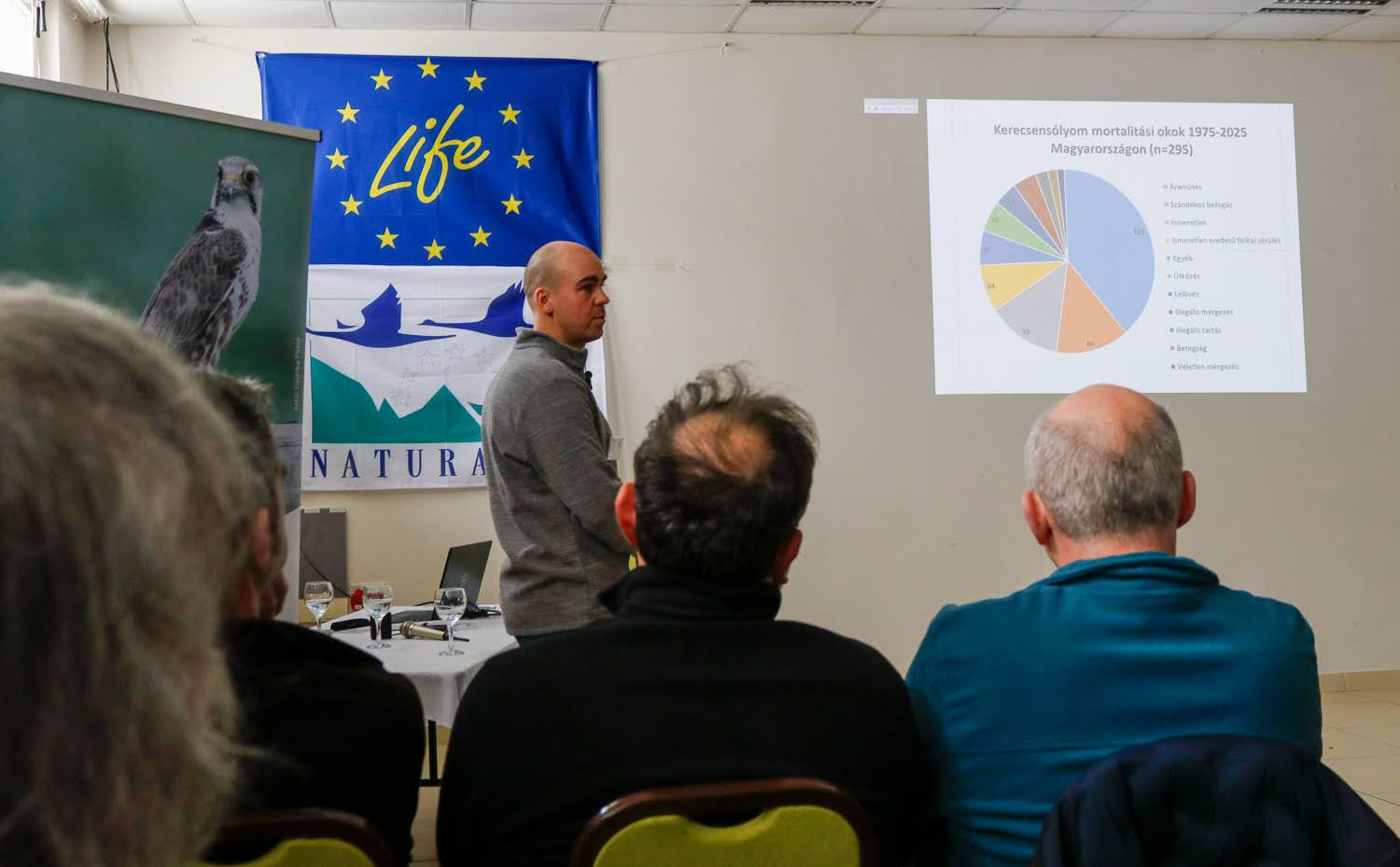 21. sólyomcsalogató