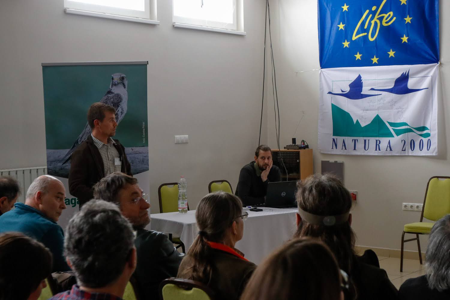 21. sólyomcsalogató