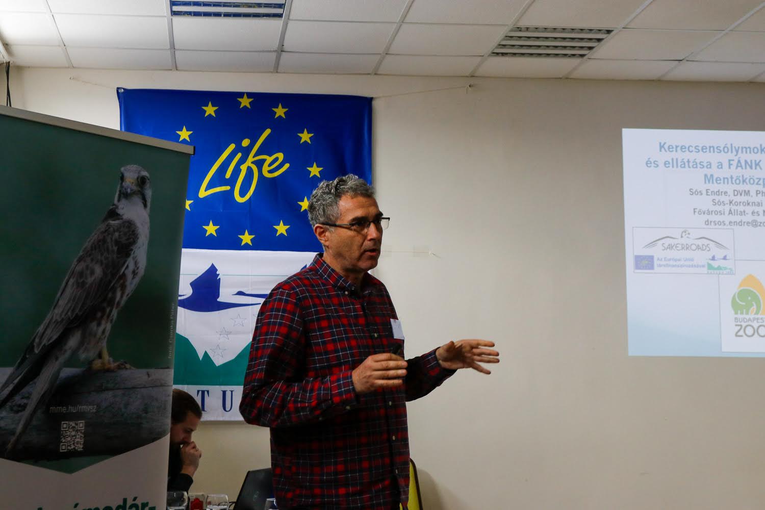 21. sólyomcsalogató