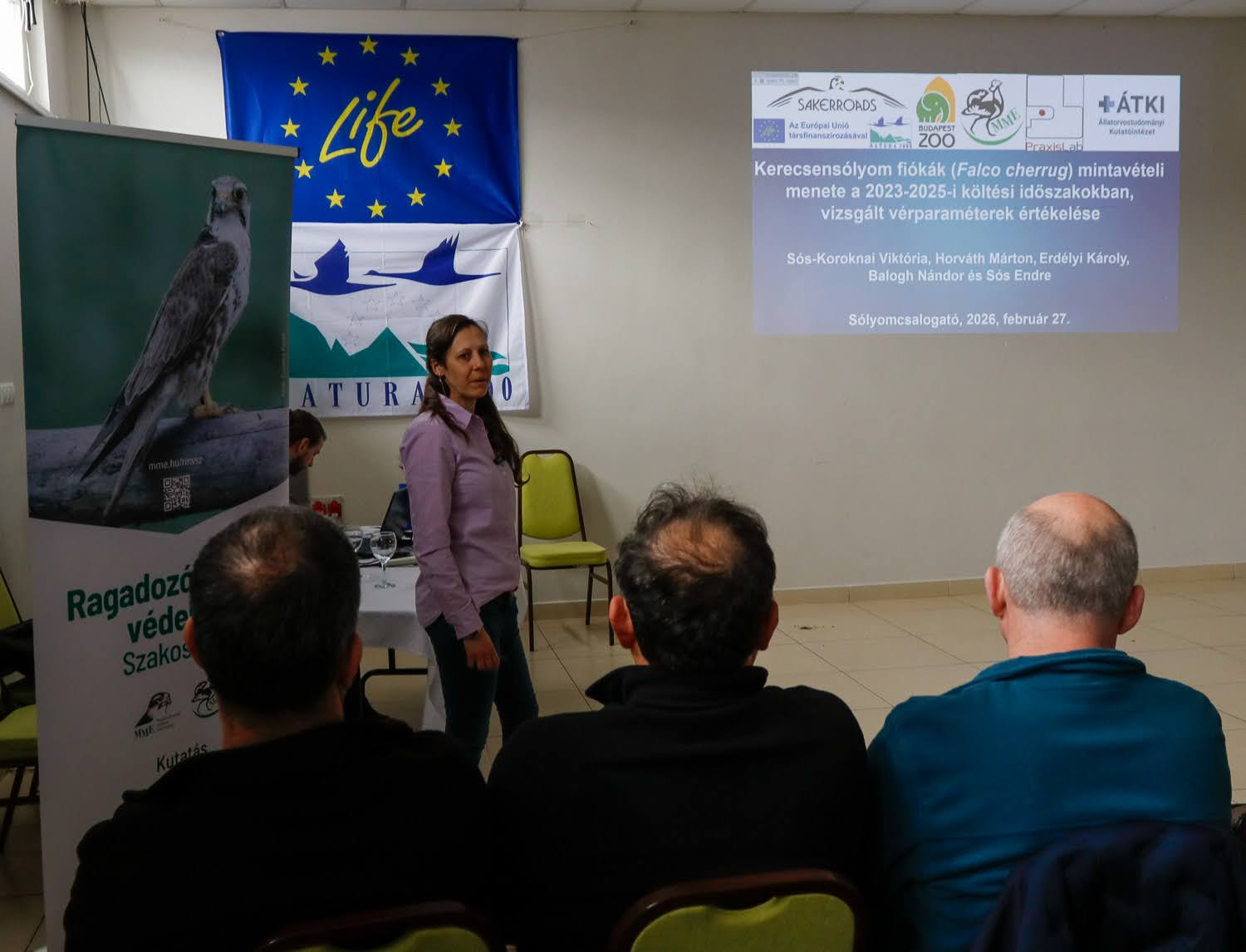 21. sólyomcsalogató