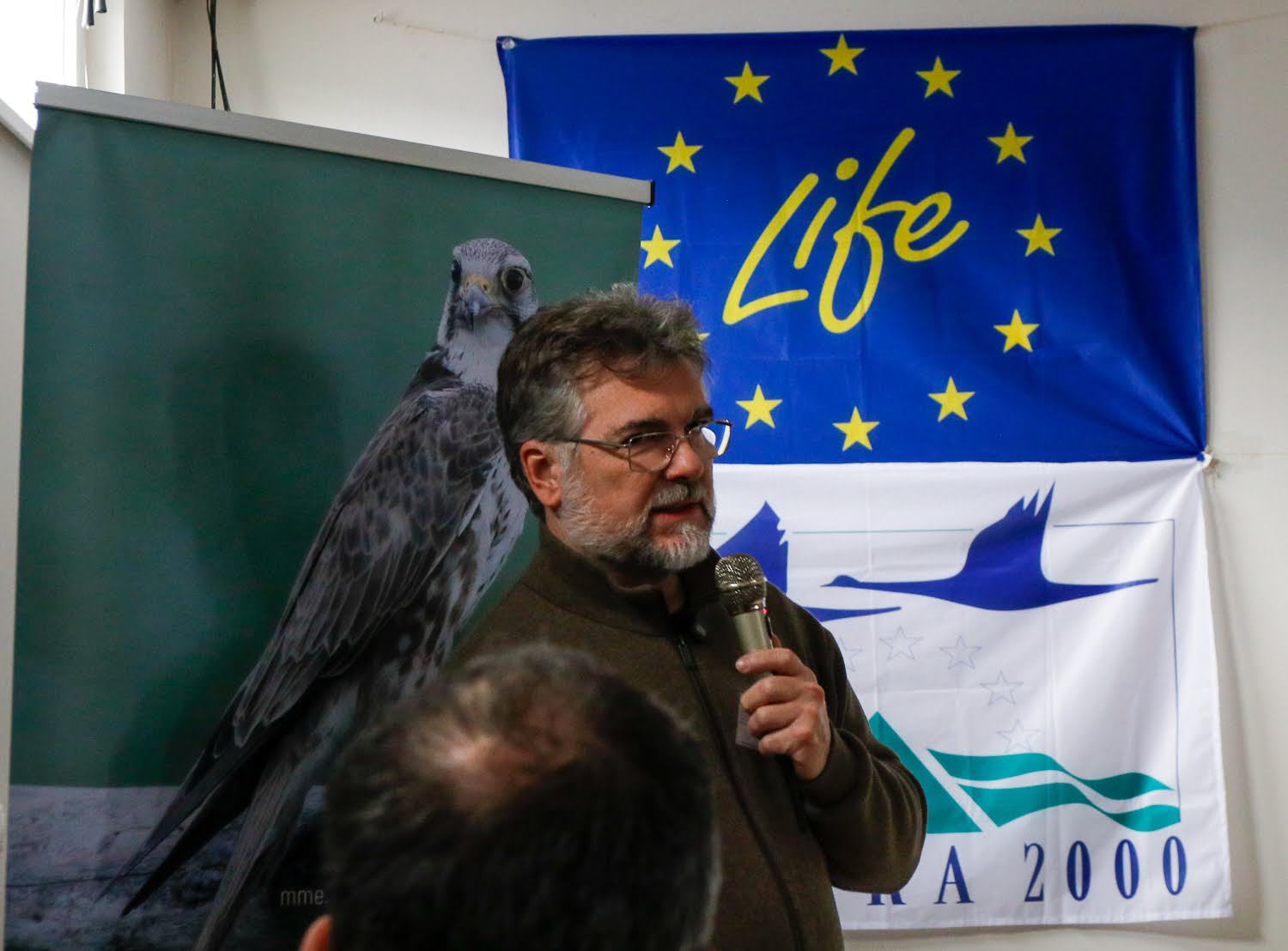 21. sólyomcsalogató