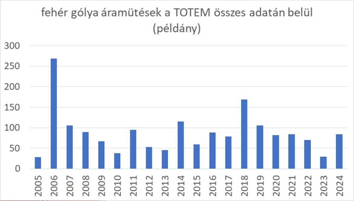 3. sirálytani konferencia