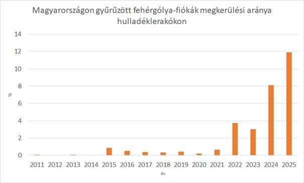3. sirálytani konferencia