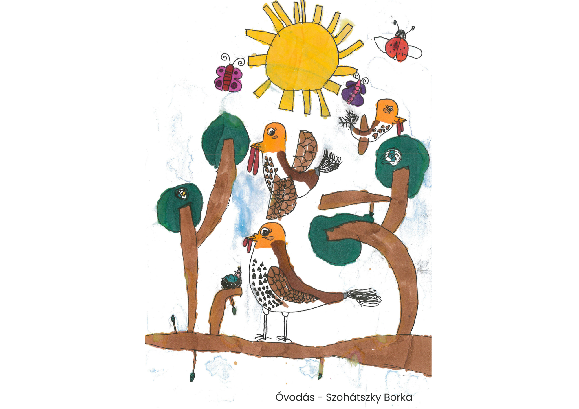 "Év madara, az énekes rigó" rajzpályázat helyezettjei