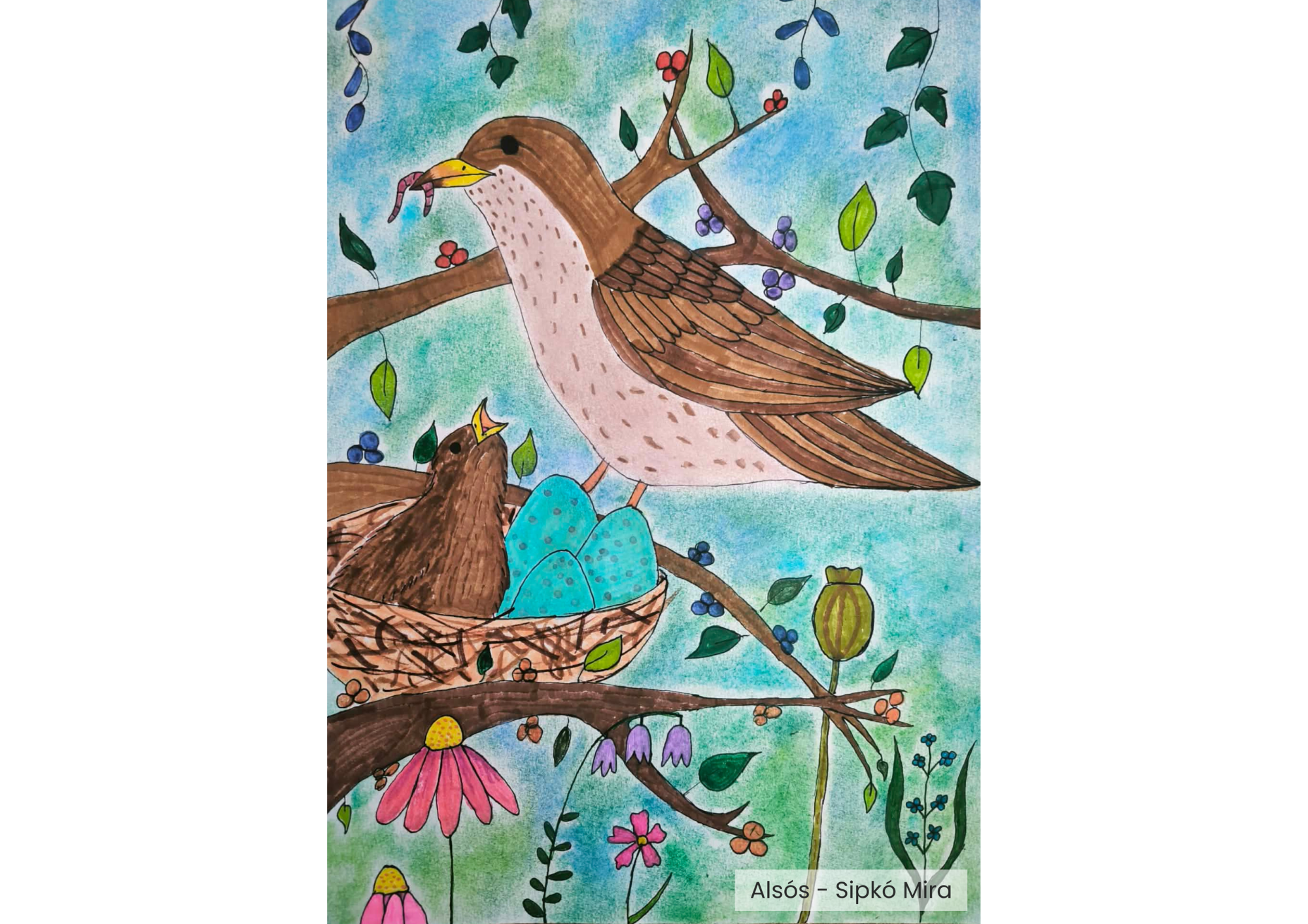 "Év madara, az énekes rigó" rajzpályázat helyezettjei