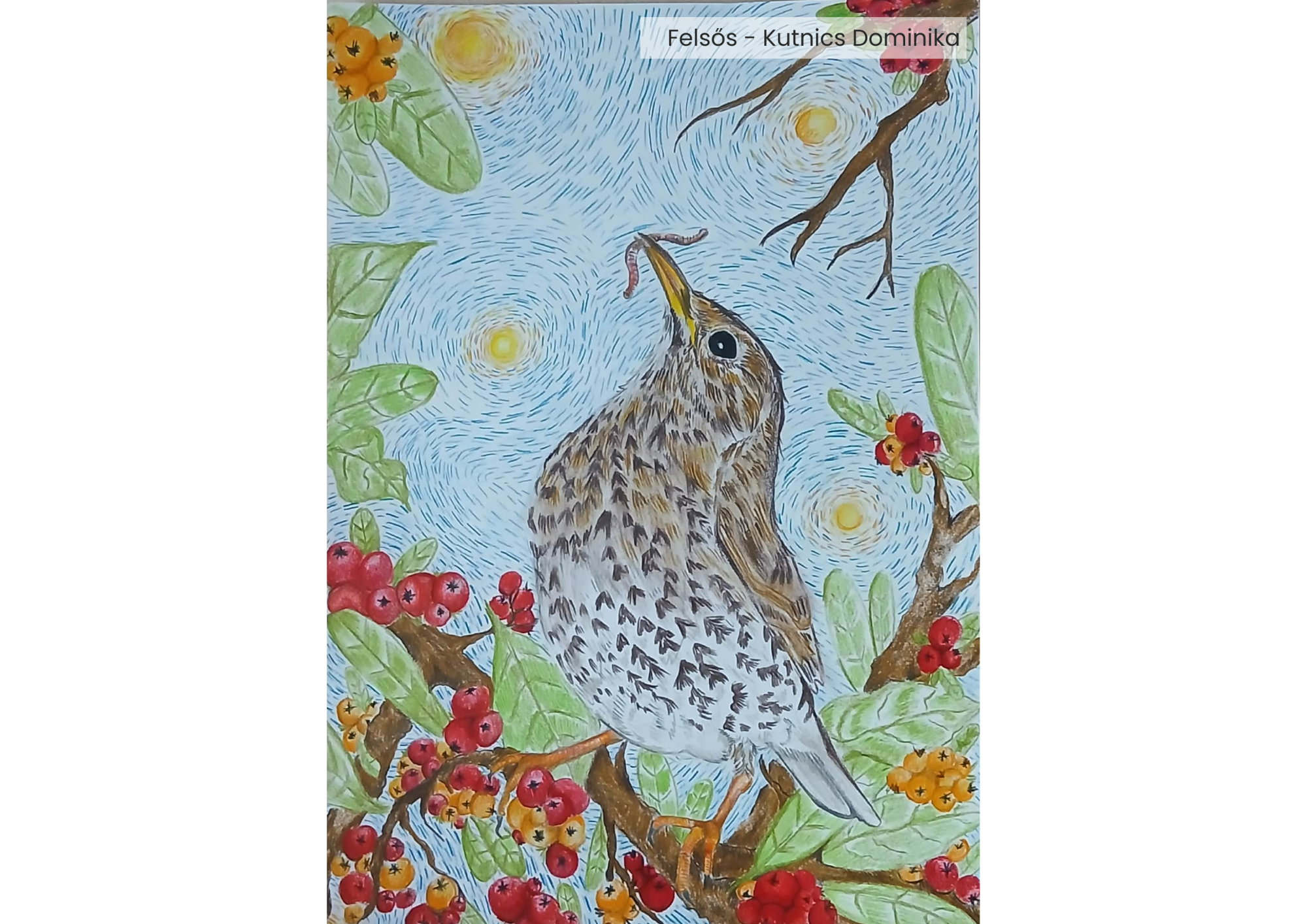 "Év madara, az énekes rigó" rajzpályázat helyezettjei