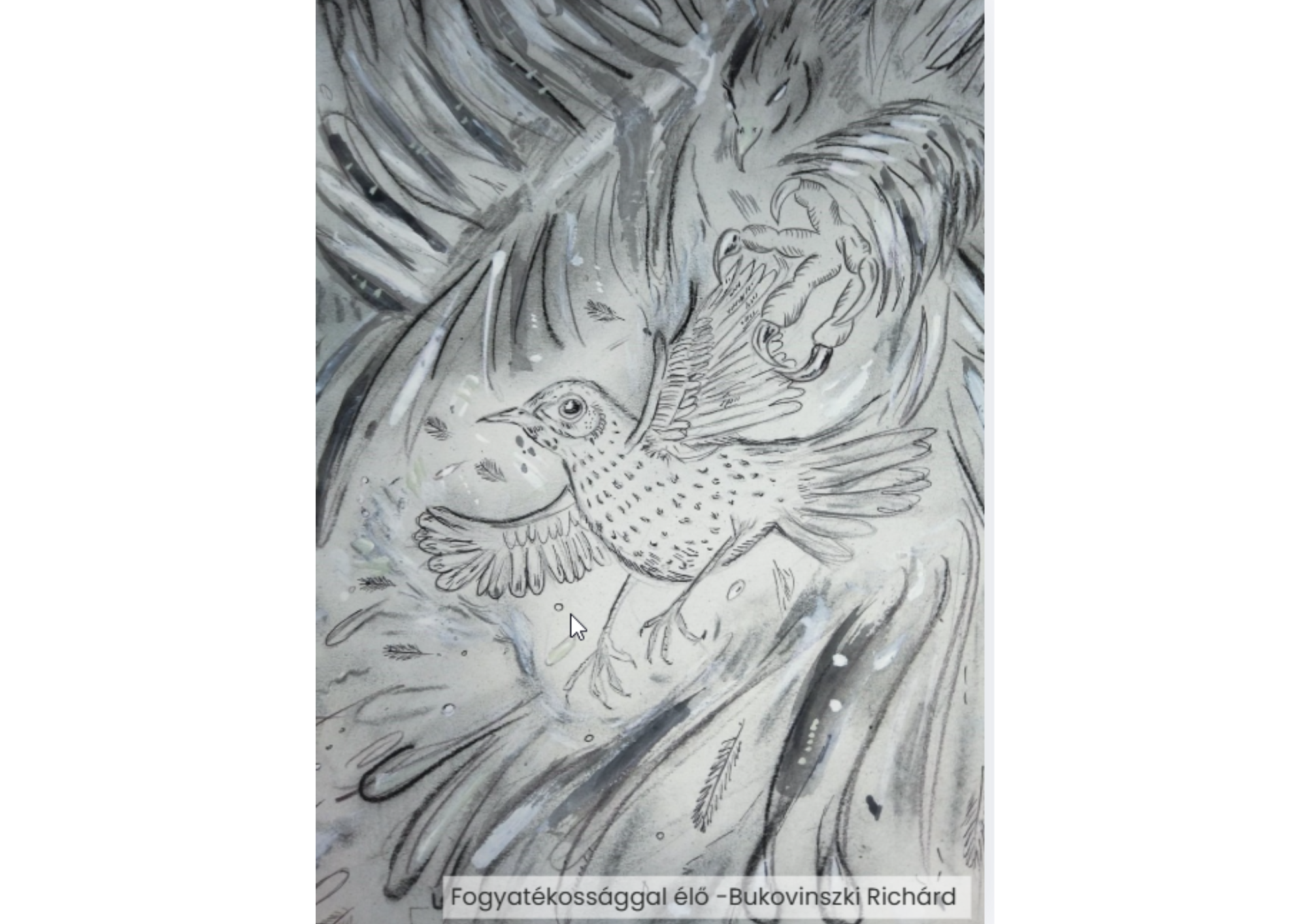 "Év madara, az énekes rigó" rajzpályázat helyezettjei