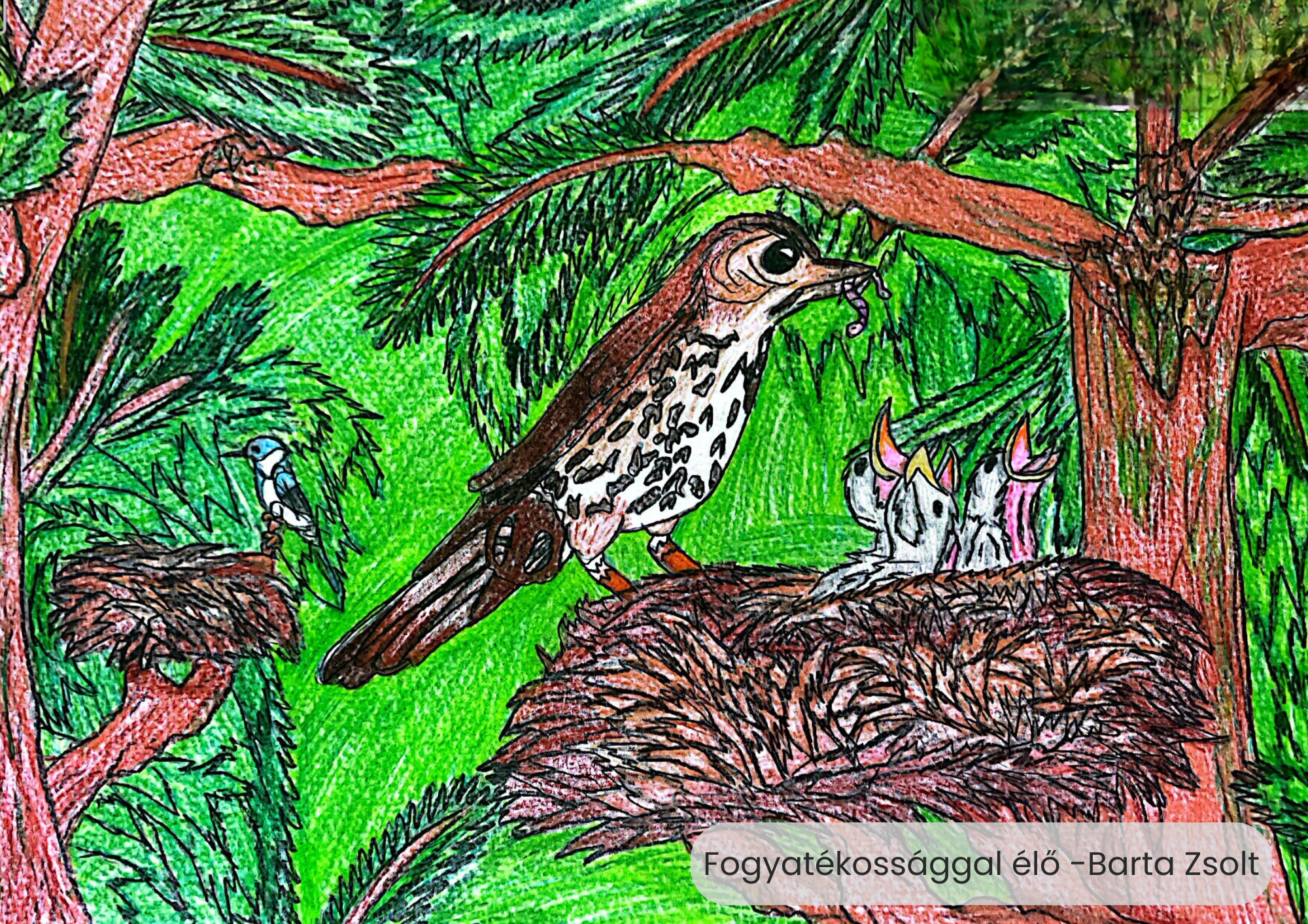 "Év madara, az énekes rigó" rajzpályázat helyezettjei