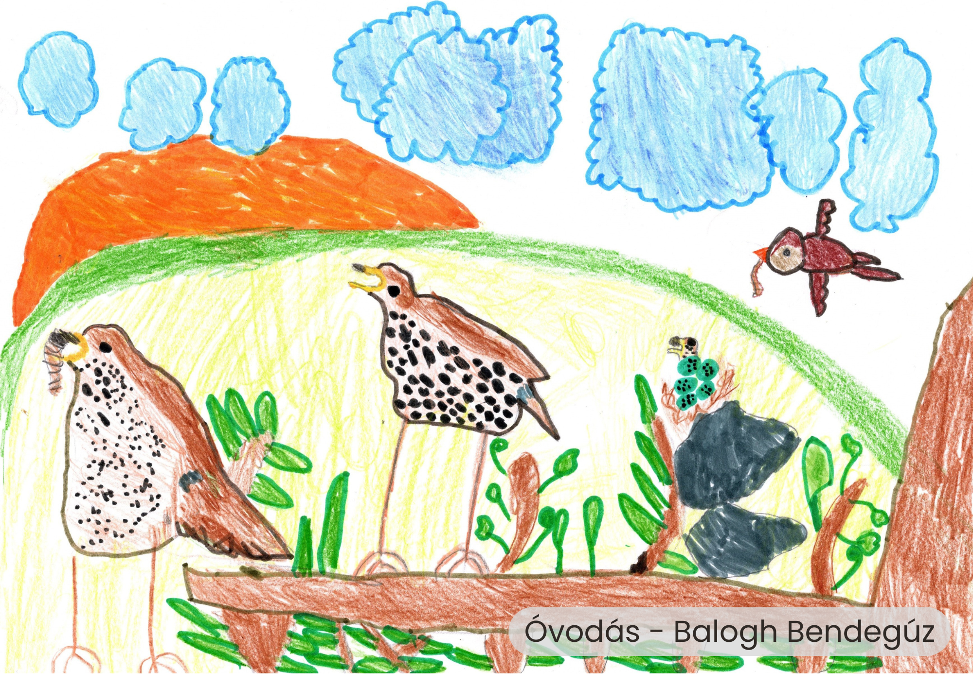 "Év madara, az énekes rigó" rajzpályázat helyezettjei