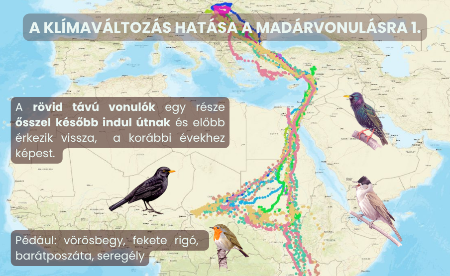 klímaváltozás és vonulás