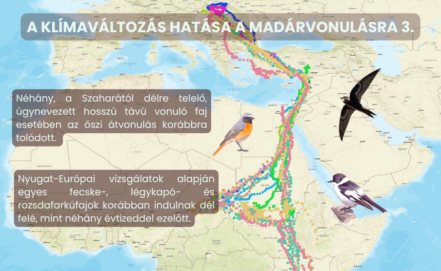 klímaváltozás és vonulás