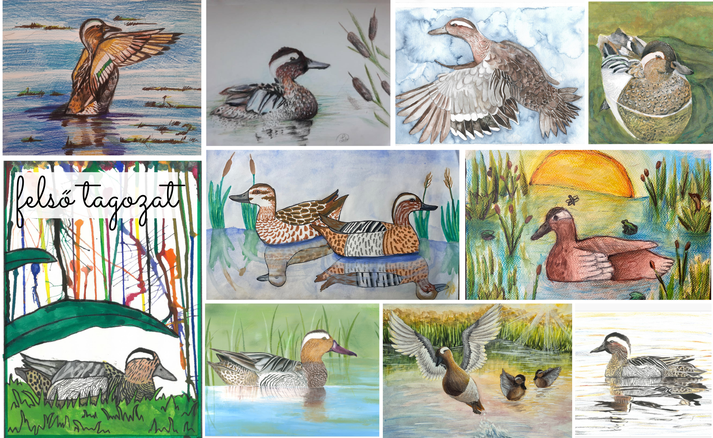 rajzpályázat2025_bojti_rece_felső