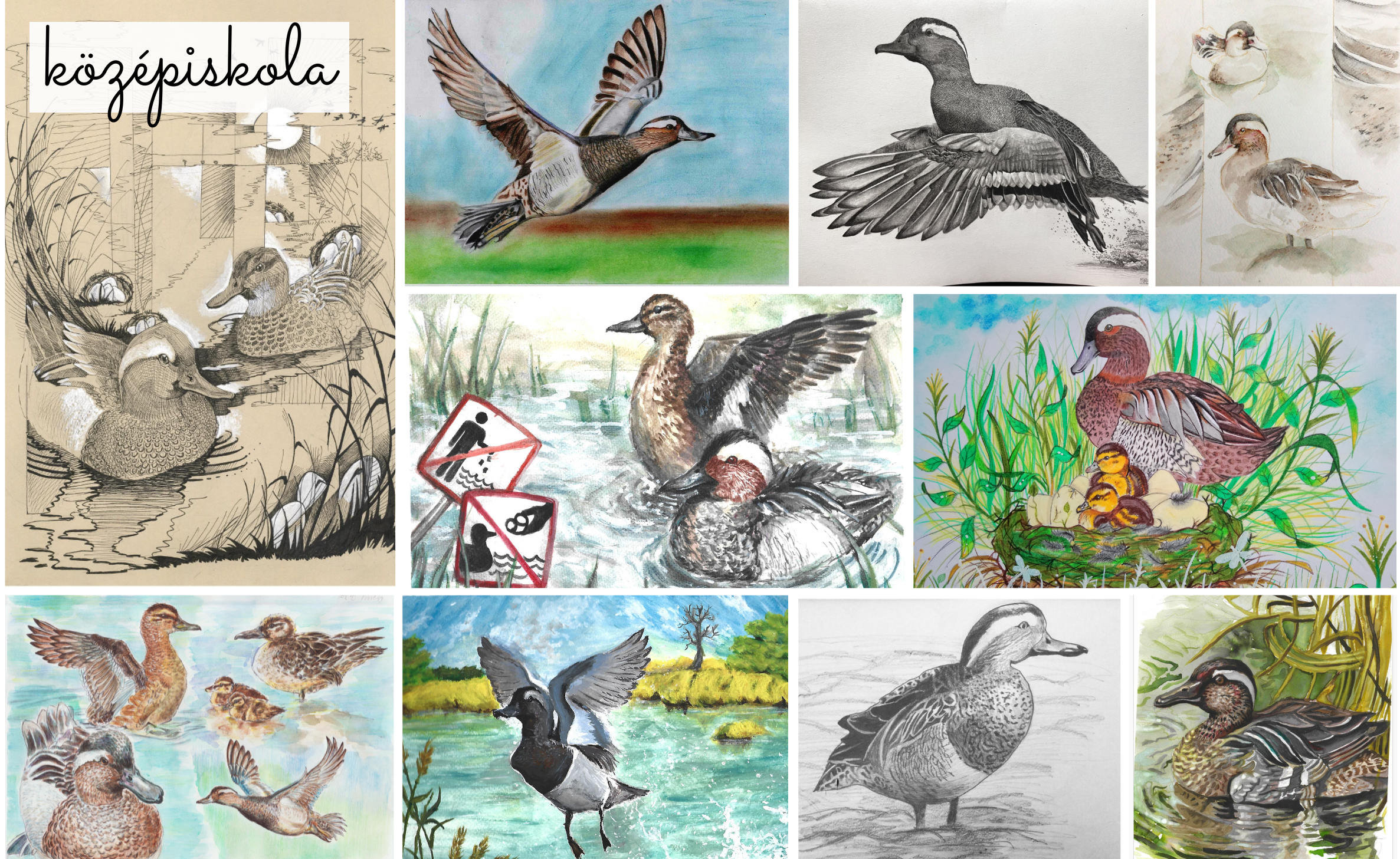 rajzpályázat2025_bojti_rece_kozepsuli