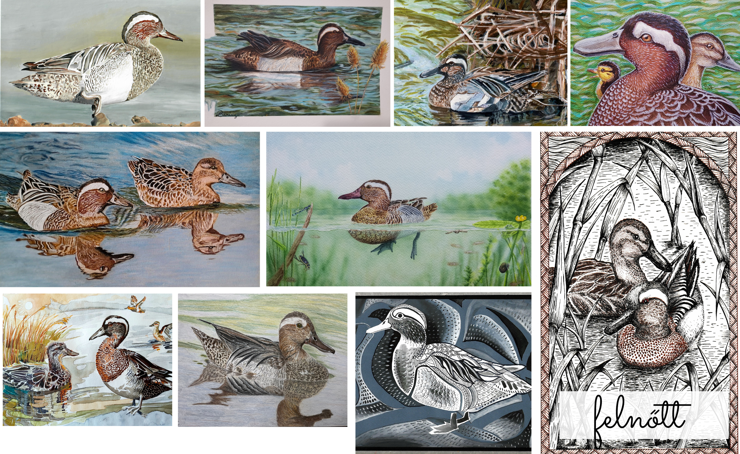 rajzpályázat2025_bojti_rece_felnott