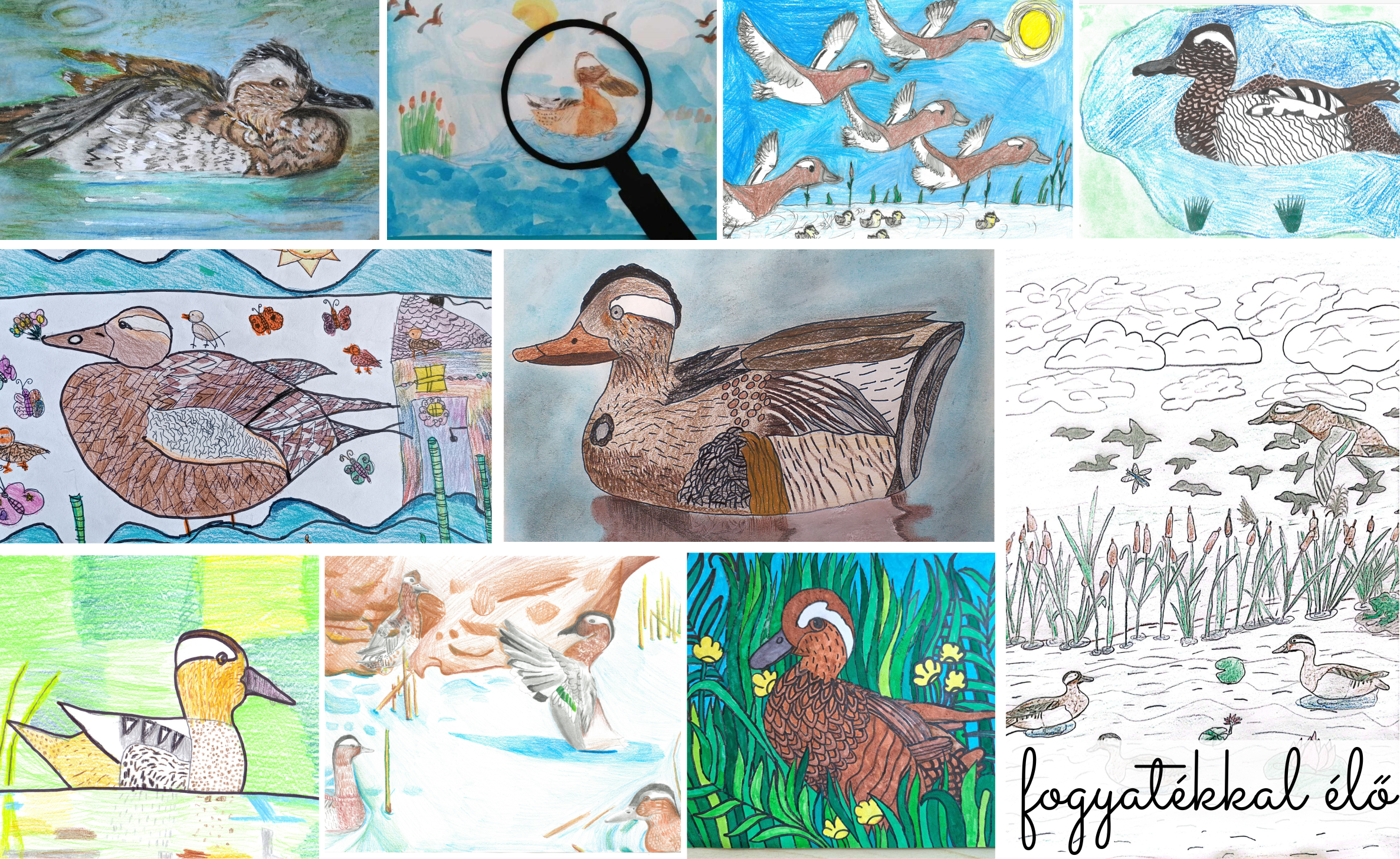 rajzpályázat2025_bojti_rece_fogyatekkal_elo