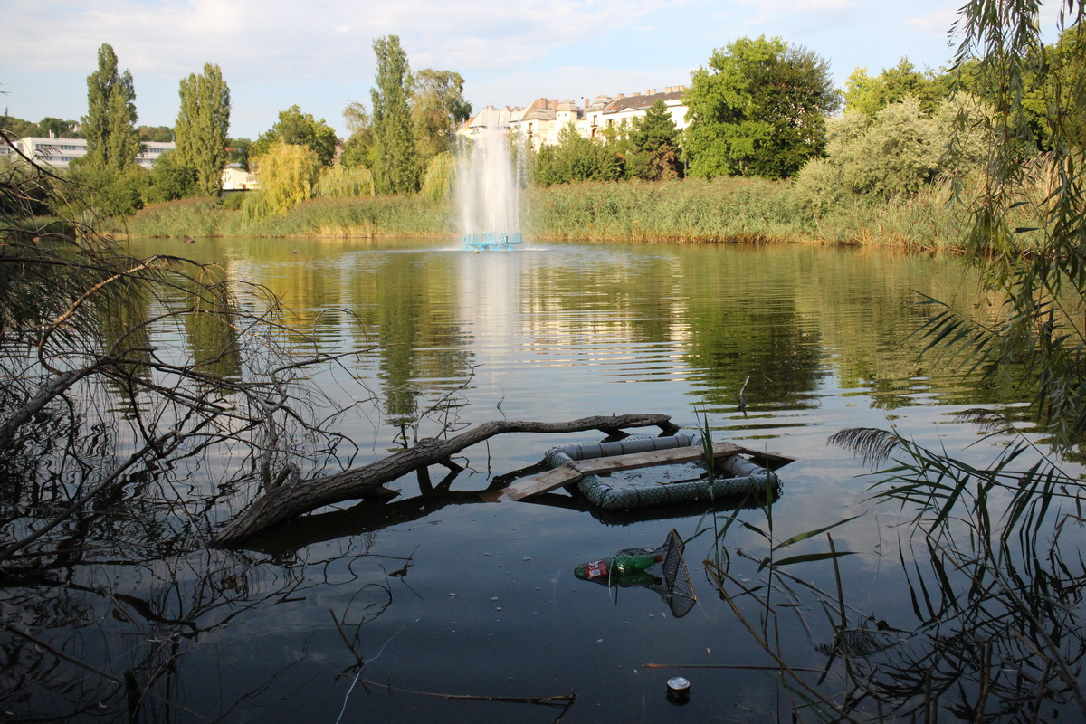 Napozó- és varsacsapda a budapesti Feneketlen-tóban (fotó: Halpern Bálint)