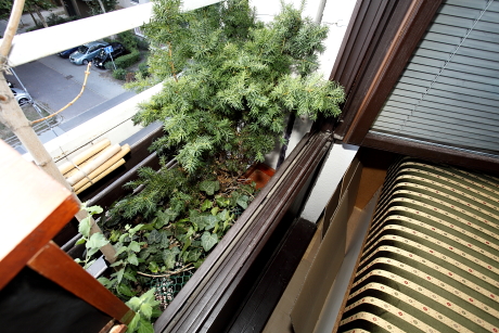 Feketerigó-fészektálca Madárbarát panel erkélyére kihelyezve (Fotó: Orbán Zoltán)