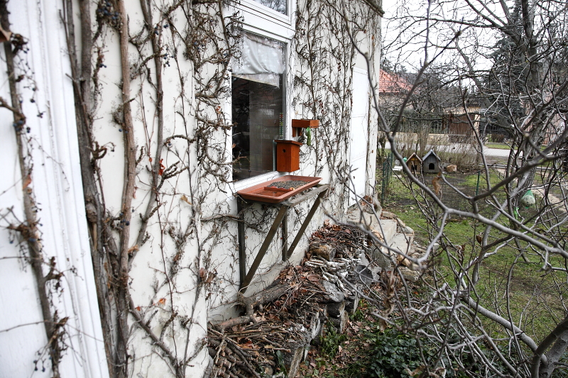 Ablakgyíkvár helyén működő téli madáretető (Fotó: Orbán Zoltán).