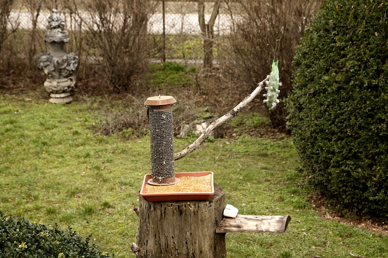 Kutyaszőr fészekanyag kihelyezése műanyag hálóban madarak számára (Fotó: Orbán Zoltán).