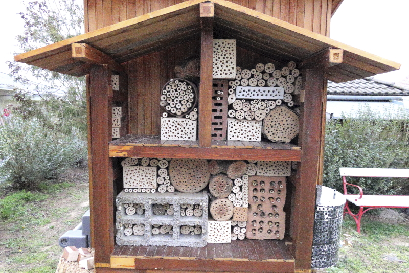 Ahogy mind több méhecskehotel-egység elkészült, ki kellett találni, hogy ezek miként mutatnak a legjobban a szekrénykeretben (Fotó: Orbán Zoltán)