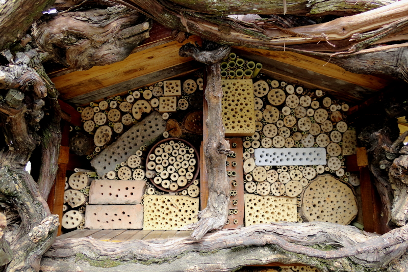 A szekrényes méhecskehotel lényege a 3211 db, többféle átmérőjű bölcsőjárat (Fotó: Orbán Zoltán)
