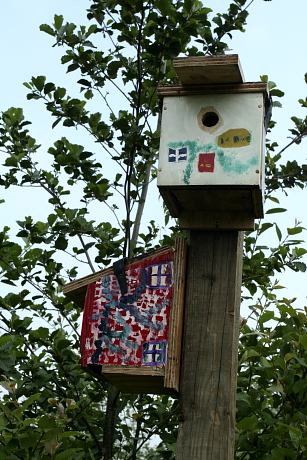 B típusú madárodúk mezei verebek megtelepítésére odútartó oszlopra kihelyezve Angliában (Fotó: Orbán Zoltán).
