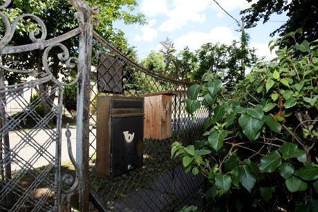 Levélszekrénybe épült széncinege fészek áthelyezése a kerítésre rakott odúba (Fotó: Orbán Zoltán).