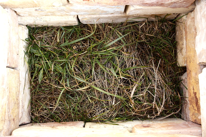 A házikó alját a talaj képezi, itt majd a madár alakítja ki a fészekmélyedést (Fotó: Orbán Zoltán).