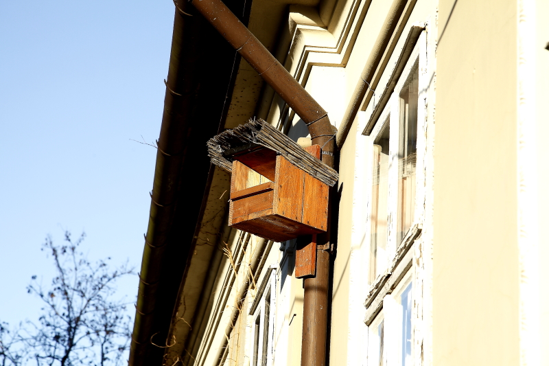 Erdei fülesbagolynak szánt vércse költőláda ereszcsatornára rögzítve épületre kihelyezve (Fotó: Orbán Zoltán).